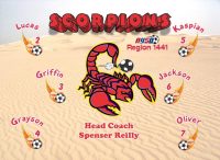 Scorpions Custom Designed Team Soccer Banner 01 - Scorpions Soccer Banner