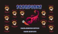 Scorpions Custom Designed Team Soccer Banner 02 - Scorpions Soccer Banner