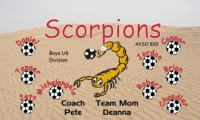 Scorpions Custom Designed Team Soccer Banner 03 - Scorpions Soccer Banner