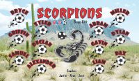 Scorpions Custom Designed Team Soccer Banner 04 - Scorpions Soccer Banner