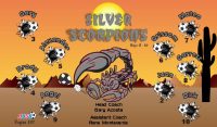 Scorpions Custom Designed Team Soccer Banner 07 - Scorpions Soccer Banner
