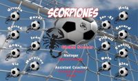 Scorpions Custom Designed Team Soccer Banner 08 - Scorpions Soccer Banner