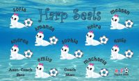 Seals Custom Designed Team Soccer Banner 03 - Seals Soccer Banner