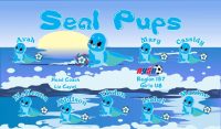 Seals Custom Designed Team Soccer Banner 05 - Seals Soccer Banner