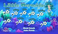 Mermaids Custom Designed Team Soccer Banner 09 - Mermaids Soccer Banner