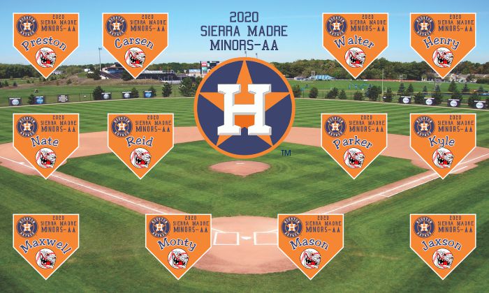 Astros Baseball Banner Custom Designed Team Baseball Banner , MLB Banners, Houston Astros