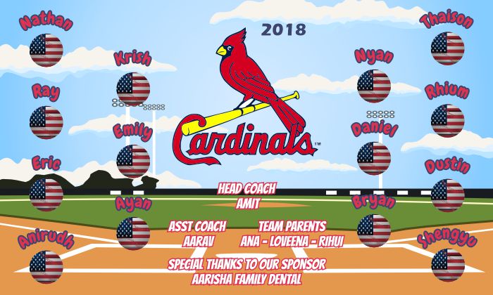 Cardinals Baseball Banner Custom Designed Team Baseball Banner , MLB Banners, St. Louis Cardinals Baseball Banner Custom Designed Team Baseball Banners