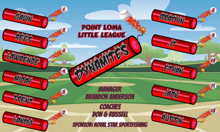 Any Team Name Baseball Banner Custom Designed Team Baseball Banner, Baseball Banners, Miscellaneous Baseball Banner Custom Designed Team Baseball Banners