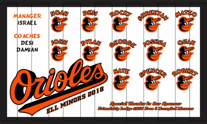 Orioles Baseball Banner Custom Designed Team Baseball Banner , MLB Banners, Baltimore Orioles Baseball Banner Custom Designed Team Baseball Banner , MLB Banners, Baltimore Orioles