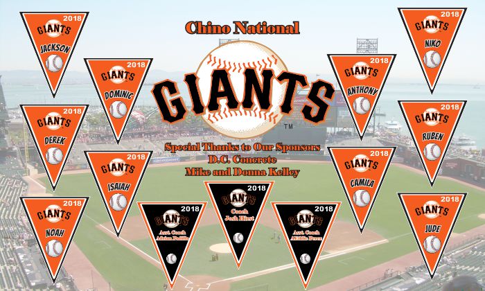 Giants Baseball Banner Custom Designed Team Baseball Banner , MLB Banners, San Francisco Giants Baseball Banner Custom Designed Team Baseball Banners