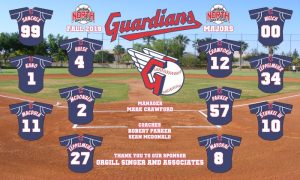 Guardians Baseball Banner Custom Designed Team Baseball Banner , MLB Banners, Cleveland Guardians Baseball Banner Custom Designed Team Baseball Banners
