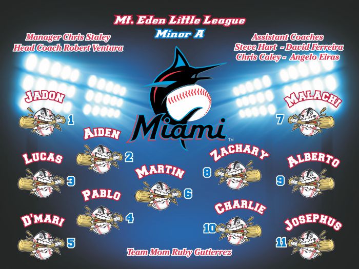 Marlins Baseball Banner Custom Designed Team Baseball Banner , MLB Banners, Miami Marlins Baseball Banner Custom Designed Team Baseball Banners
