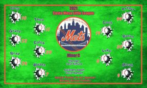 Mets Baseball Banner Custom Designed Team Baseball Banner , MLB Banners, New York Mets Baseball Banner Custom Designed Team Baseball Banners