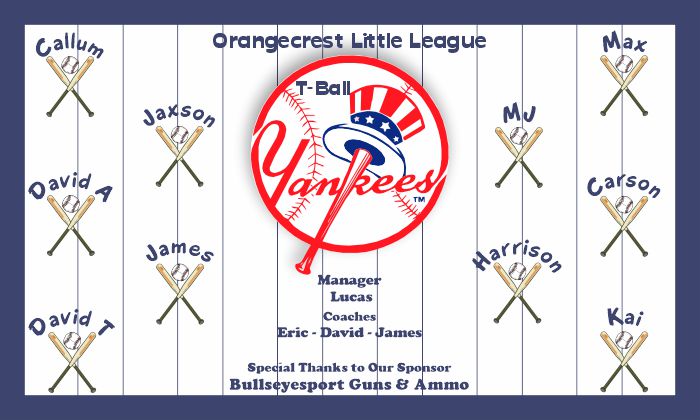 New York Yankees Baseball Banner Custom Designed Team Baseball Banner , MLB Banners, New York Yankees Baseball Banner Custom Designed Team Baseball Banners