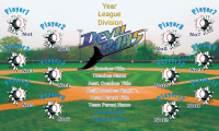 Tampa Bay Rays Baseball Team Banner Design Your Own 02