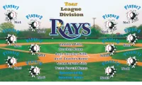Tampa Bay Rays Baseball Team Banner Design Your Own 02