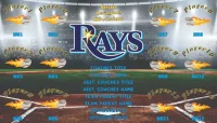 Tampa Bay Rays Baseball Team Banner Design Your Own 04