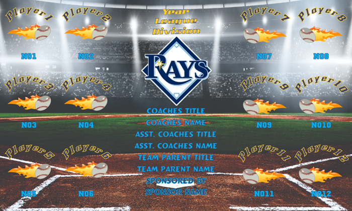 Tampa Bay Rays Baseball Team Banner Design Your Own 04