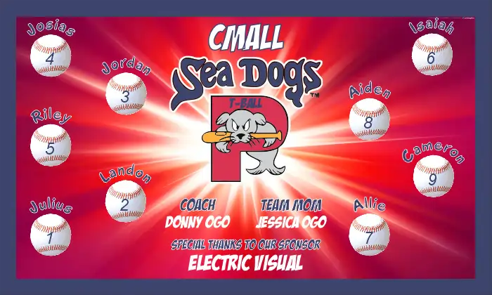 Sea Dogs Custom Designed Team Baseball Banner 01 - Portland Sea Dogs Custom Banner