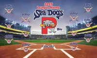 Sea Dogs Custom Designed Team Baseball Banner 03 - Portland Sea Dogs Custom Banner