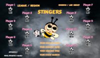 Bees Hornets Wasps Soccer Team Banner EASY Design Your Own 03
