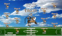 Eagles Soccer Team Banner EASY Design Your Own 01