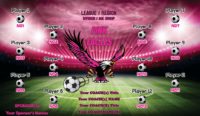 Eagles Soccer Team Banner EASY Design Your Own 02