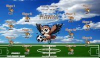 Hawks Soccer Team Banner EASY Design Your Own 01