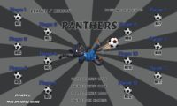 Panthers Soccer Team Banner EASY Design Your Own 03