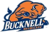 Bison - Bucknell
