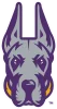 Great Danes - Albany
