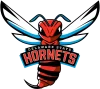 Hornets - Delaware State