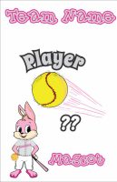 Softball Equipment Pail Sticker