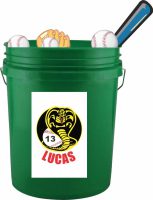 Baseball Equipment Pail Sticker