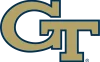 Yellow Jackets - Georgia Tech