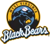 black bears