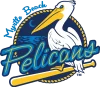 pelicans